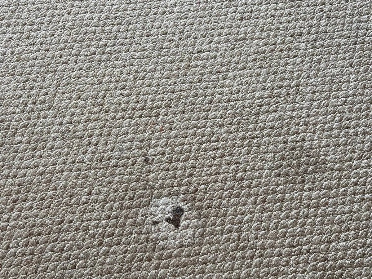 Close-up of a spot on beige carpet before treatment