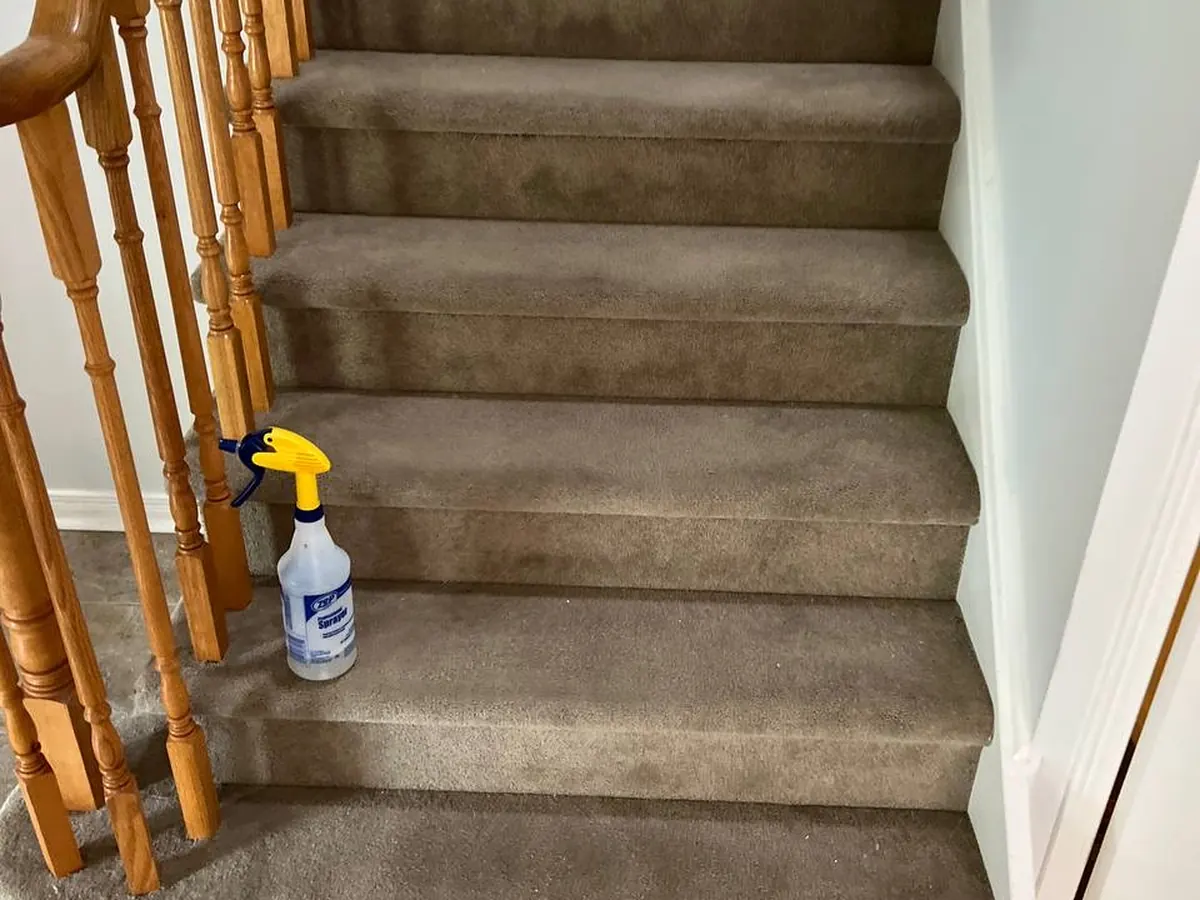 Clean carpeted stairs after hot-water extraction