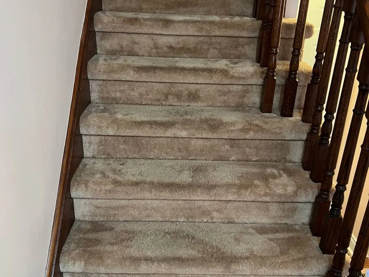 Soiled traffic lanes on a carpeted staircase